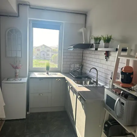 Apartmán Tudor Apartament